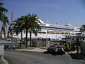 Palma 8